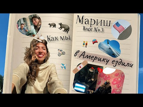 Видео: Как мы в Америку летали. Влог. Часть 1