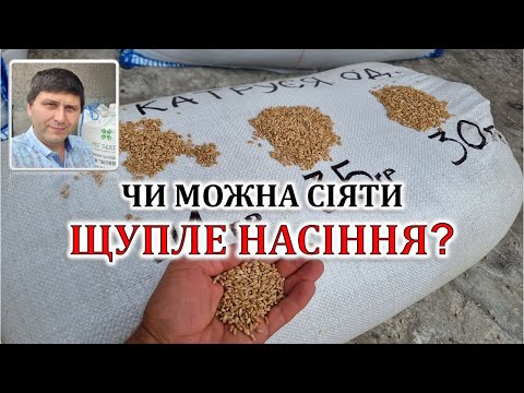 Видео: Чи можна сіяти щупле насіння?