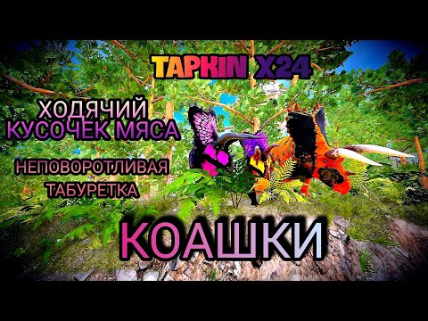 Видео: КОАХА ➤ НЕПОВОРОТЛИВАЯ ТАБУРЕТКА ➤ BEAST OF BERMUDA