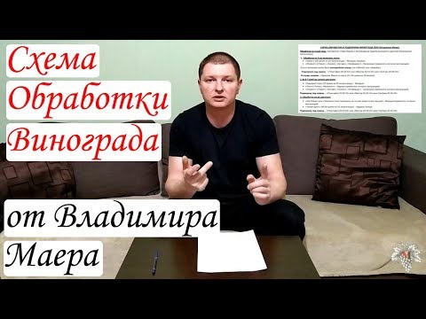 Видео: Схема ОБРАБОТКИ и ПОДКОРМКИ Винограда от Владимира Маера