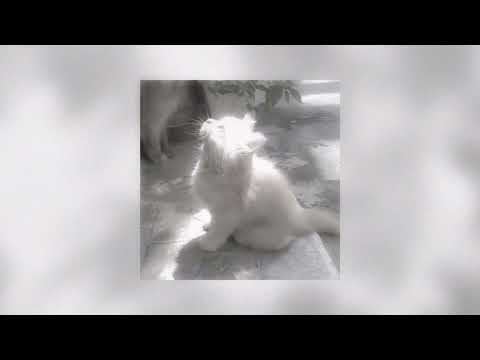 Видео: плейлист песен чтоб почувствовать себя в эдите