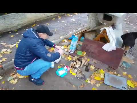 Видео: Мажем Глаз Одноглазику — Бездомная Мать! 🔥