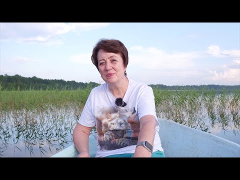 Видео: 3634. Хлеб на каждый день. 8 сентября. Псалом 88:30