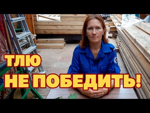 Видео: БОРЬБА С МУРАВЬЯМИ НЕ ПОМОЖЕТ ИЗБАВИТЬСЯ ОТ ТЛИ