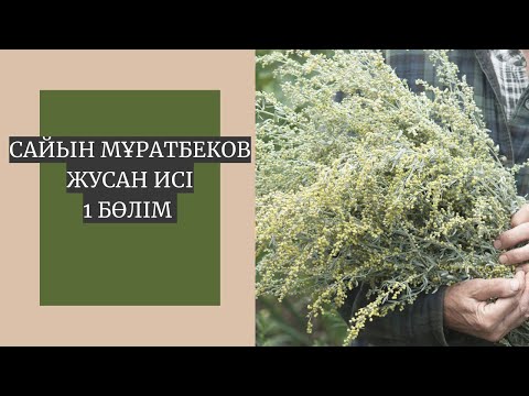 Видео: Сайын Мұратбеков. Жусан иісі. 1 бөлім.