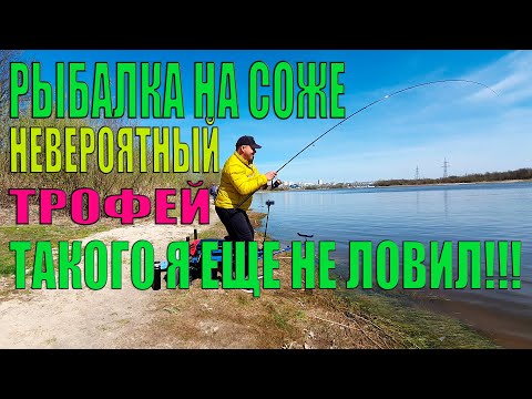 Видео: Рыбалка на Соже. Невероятный трофей на фидер 2020.
