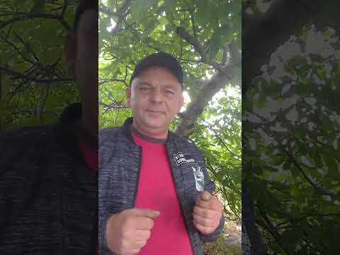 Видео: чи потрібен верхній льоток у вулику