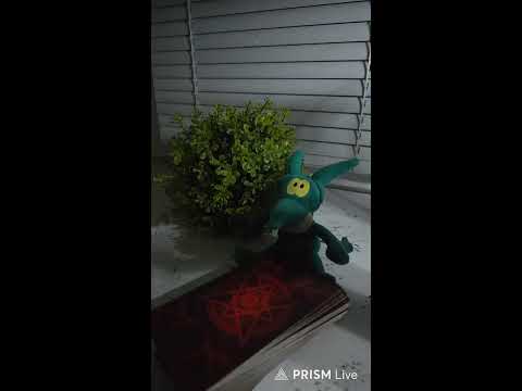 Видео: Прямая трансляция  ВЕРХОВНАЯ НАТАЛИ