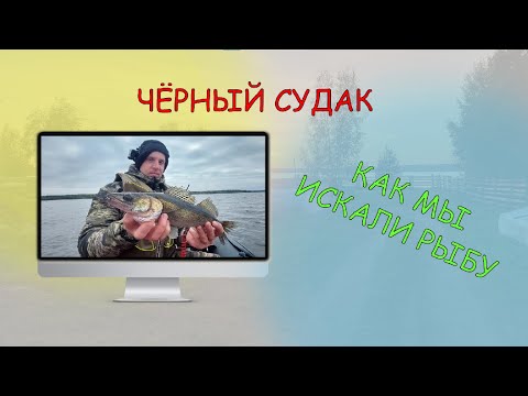 Видео: Чёрный судак и щука на мелководье! Рыбалка на озере Вселуг 2021. Рыбалка с Дивером