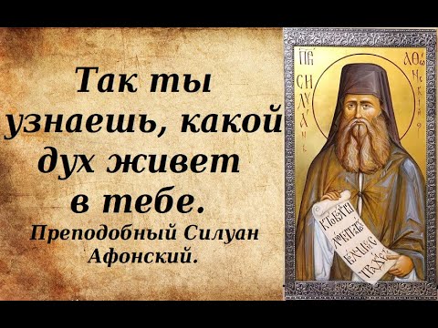 Видео: Так ты узнаешь, какой дух живет в тебе. Преподобный Силуан Афонский.