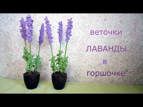 Видео: веточки ЛАВАНДЫ в горшочке