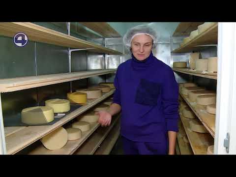 Видео: Малый бизнес на Урале Козья ферма