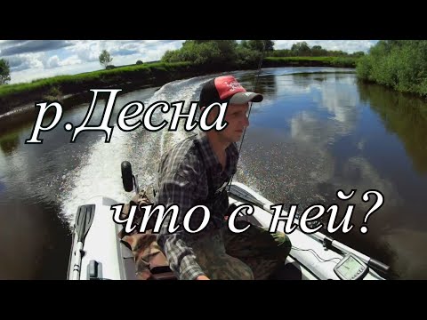 Видео: р.Десна рыбалка сплавом. Что было с рекой?!