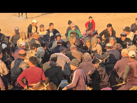 Видео: Чироқчи Учқун қассобни купкариси