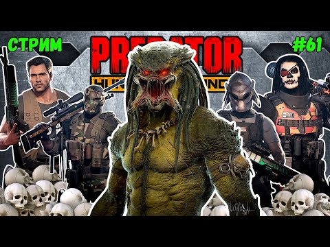 Видео: Predator Hunting Grounds ➤ СТРИМ #61 #predator