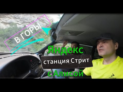 Видео: В горы с Алисой