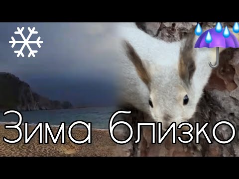 Видео: 🇹🇷Аланья/Челябинск. Погода. Как разогнать осеннюю хандру.