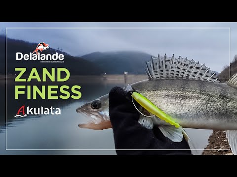Видео: Бяла риба в мъглата. Риболов на джиг