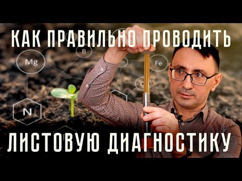 Видео: Как ПРАВИЛЬНО делать ЛИСТОВУЮ ДИАГНОСТИКУ!