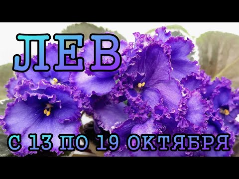 Видео: ЛЕВ таро прогноз на неделю с 13 по 19 ОКТЯБРЯ 2025 года