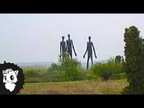 Видео: Регистратор Снял то что Никто Не должен был Видеть [Белый кот]