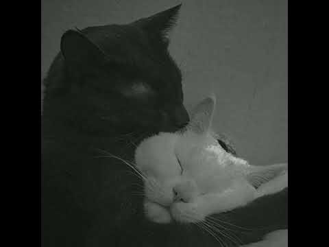 Видео: Время и стекло - Имя 505 (Speed up,reverb)