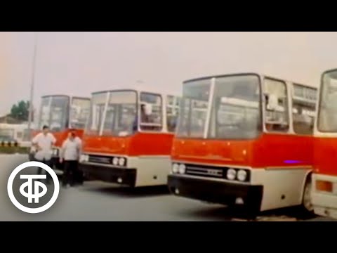 Видео: Телевизионный журнал "Содружество". Эфир 9 июля 1981