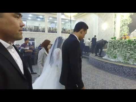 Видео: 4 ноября 2025 г.