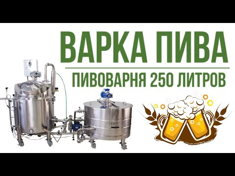 Видео: Тестовая варка на пивоварне Бархан - 250