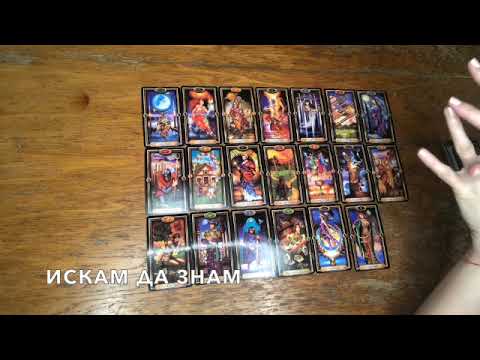 Видео: Шут от съдбата