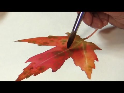 Видео: Натюрморт №38 — Акварельный рисунок красочного осеннего листа