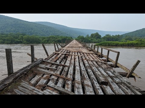 Видео: 2024. По старым лесовозным дорогам. За мост через Тумнин на велосипеде.