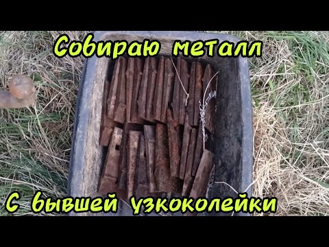 Видео: Копаю хороший металл на бывшей узкоколейной ж/д при торфянике #весенний коп