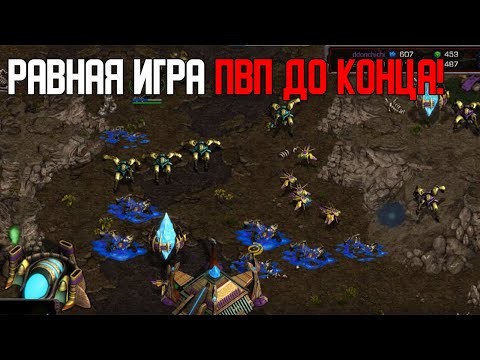 Видео: Старкрафт P VS P Мастер драгунов против мастера риверов - игра равная до последней секунды!