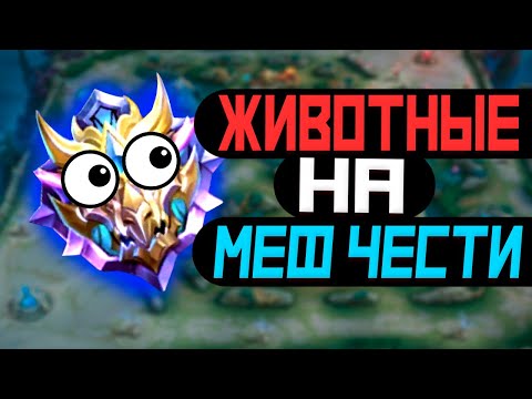 Видео: В МИРЕ ЖИВОТНЫХ РАФА В ЛЕС, 3 МАГА В МИД В MOBILE LEGENDS МОБАЙЛ ЛЕГЕНД