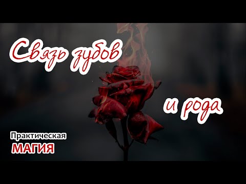 Видео: Связь зубов и рода