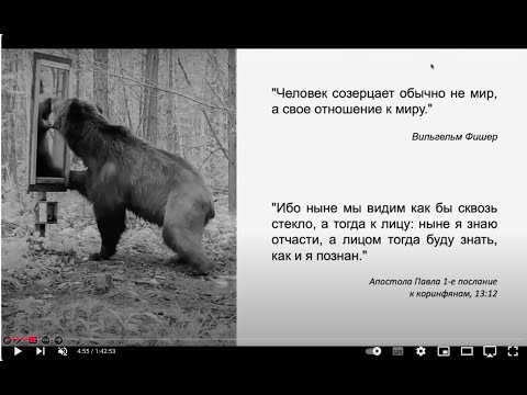 Видео: Олег Колимбет "Нарратив за пределами текста"
