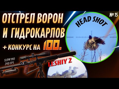 Видео: Отстрел Ворон и Мартынов с PCP Леший  2. № 15. Crow Hunting 2023. Кроухантинг. Jack Hunter.