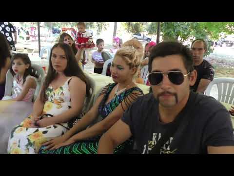 Видео: сунет на малкия бида