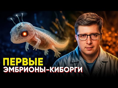 Видео: Вырастили первых эмбрионов-киборгов. Прорыв в нейробиологии | ПУШКА