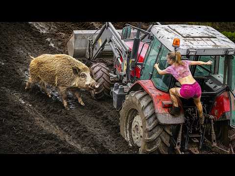 Видео: Самые Нелепые Ошибки Рабочих, Снятые на Камеру
