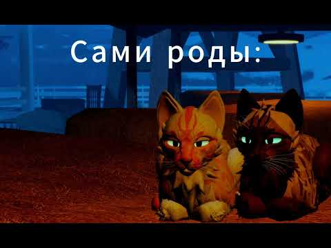 Видео: `Как принять роды у королевы? В Warriors cat. Ролевой ролик по теме:"целительство"`-WC:UE