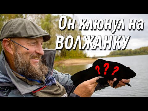 Видео: Фидер на реке. Отличный улов осенью!