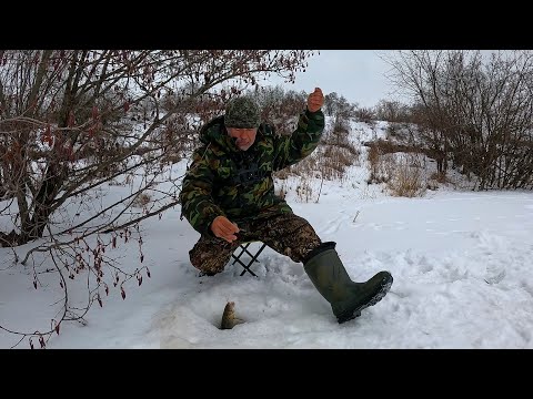 Видео: ВОТ ЭТО РЫБАЛКА! С каждым часом все крупнее и крупнее!