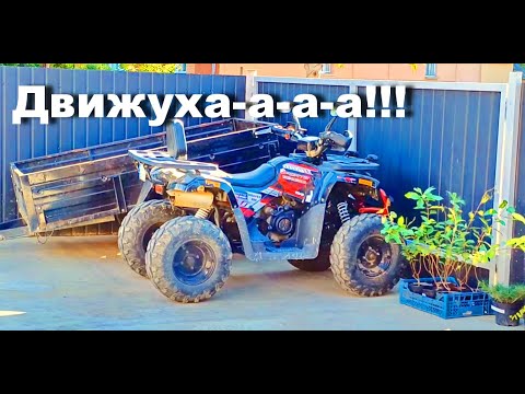 Видео: А у нас движуха!