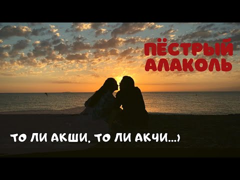 Видео: о. Алаколь (Поселок Акчи, Купание на рассвете, Копченная рыба, Лечебная грязь, Алаколь Резорт)