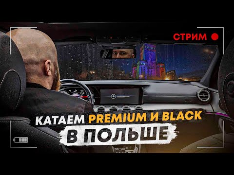 Видео: Стрим: 13.08.2024 black и premium такси в Варшаве. Uber Bolt. общение между заказами