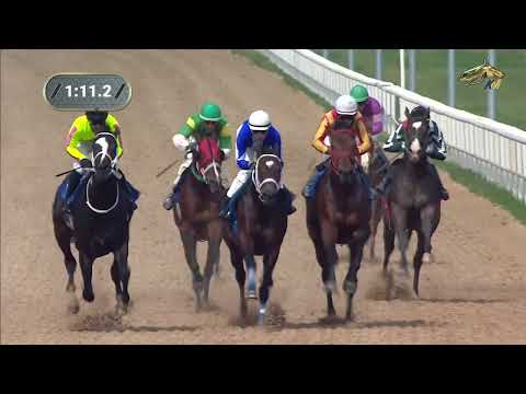 Видео: 5-я Скачка. Приз в честь жеребца Король, Победителя Приза Президента РФ 2011