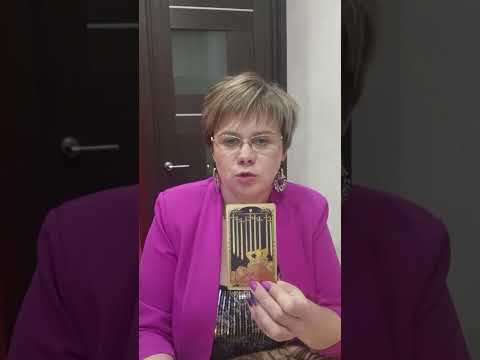 Видео: Стоит ли вам переезжать? 🤔