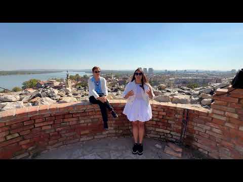 Видео: Как нужно работать при моторной алалии? Принципы коррекционной работы